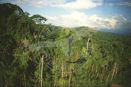 C3A-0507
