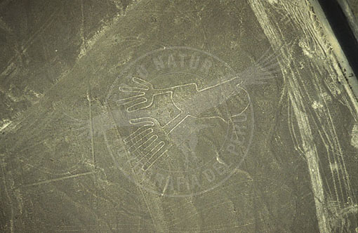 E3A-0917
