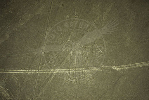 E3A-0919