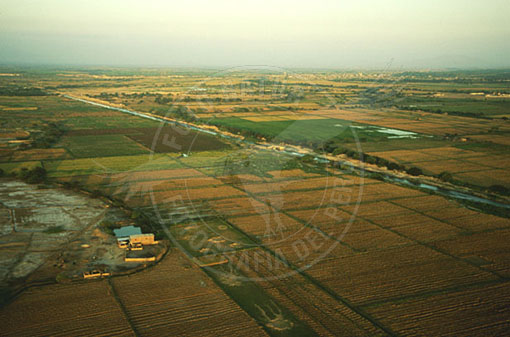 E4A-0215
